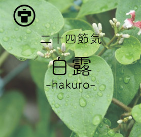 白露