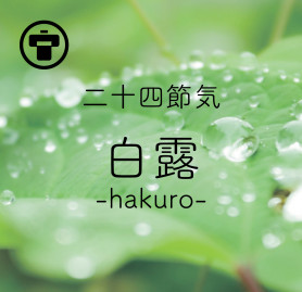 白露