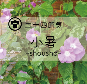 小暑