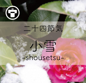 2024小雪